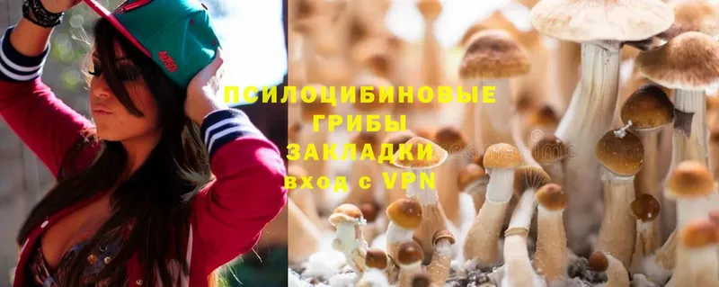 где найти наркотики  Краснокаменск  Псилоцибиновые грибы MAGIC MUSHROOMS 